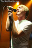 theywillrockyoudotcom > CartelSeptember 28, 2007The Palladium - Worcester, MAPhotos by: Mary Ouellette photo