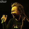 theywillrockyoudotcom > Gigantour 2008 - In FlamesApril 25, 2008The Palladium- Worcester, MAPhotos by:  Mary Ouellette photo