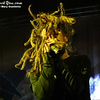 theywillrockyoudotcom > Gigantour 2008 - In FlamesApril 25, 2008The Palladium- Worcester, MAPhotos by:  Mary Ouellette photo